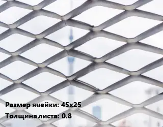 Сетка ЦПВС 45х25 s=0.8